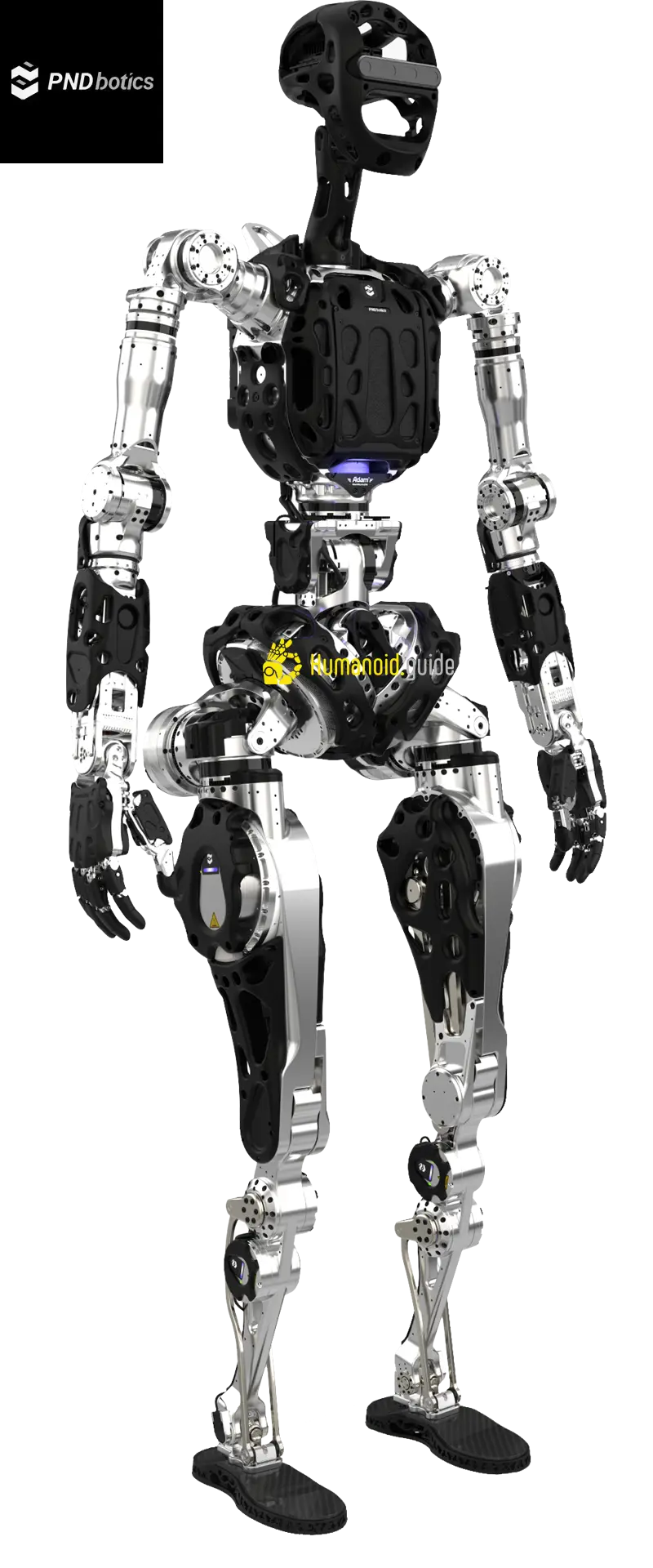 Adam Sp - Image 3