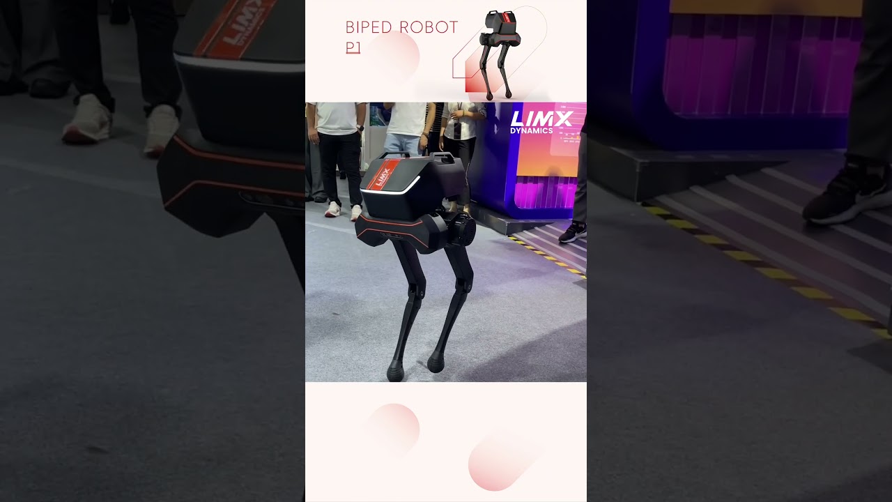 LimX Dynamics P1 by LimX Dynamics - humanoid robot