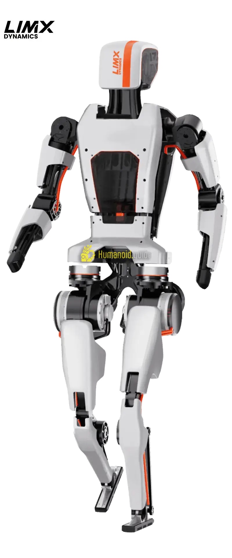 LimX Humanoid by LimX Dynamics - humanoid robot