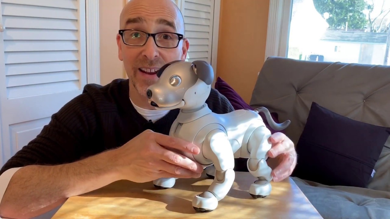 Sony Aibo ERS-1000 by Sony Robotics - companion robot
